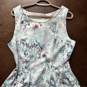 Luna- size large dress- princess seams, fit and flare mini